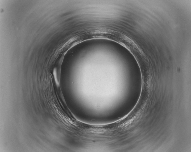 X0000086800825200704131303