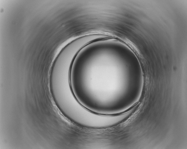 X0000086800854200704131304