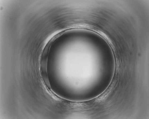 X0000086800862200704131304