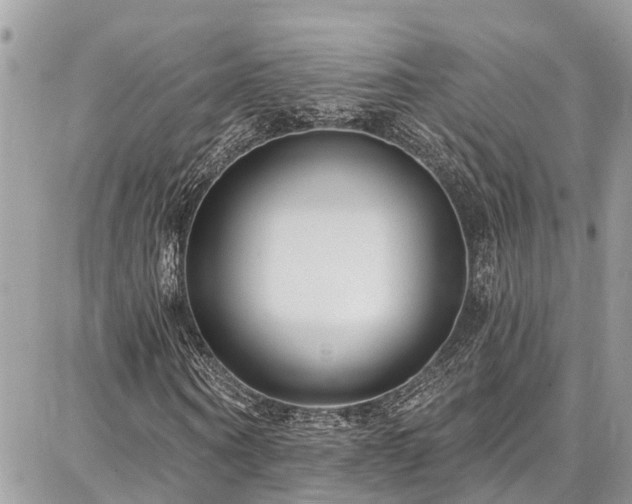 X0000086800866200704131303