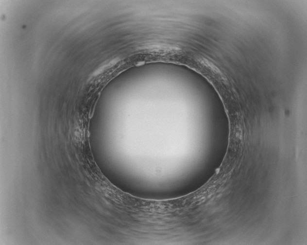 X0000086800869200704131303