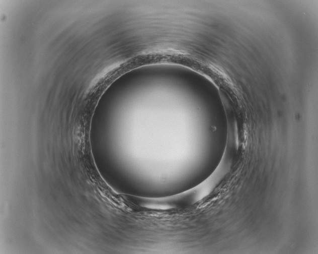 X0000086800872200704131303