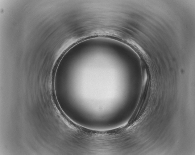 X0000086800894200704131303