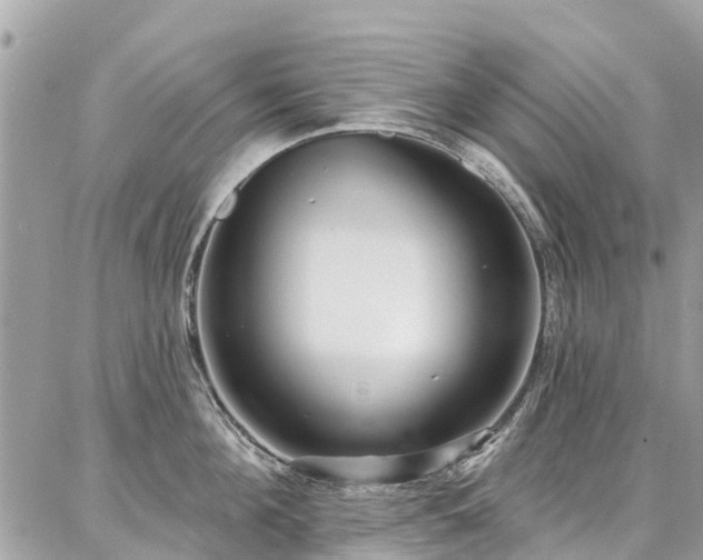 X0000086800908200704131302
