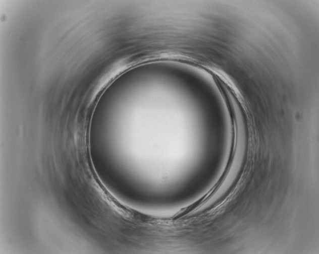 X0000086800910200704131302