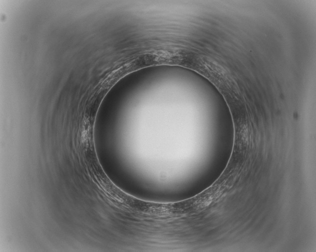 X0000086800914200704131301