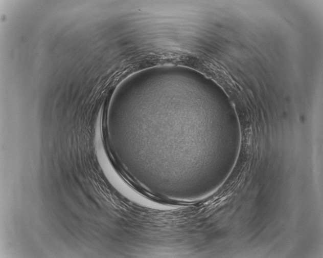 X0000086800916200704131302