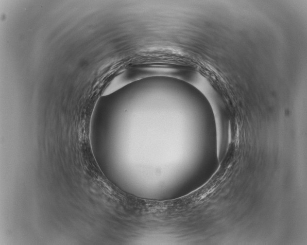 X0000086800965200704131301