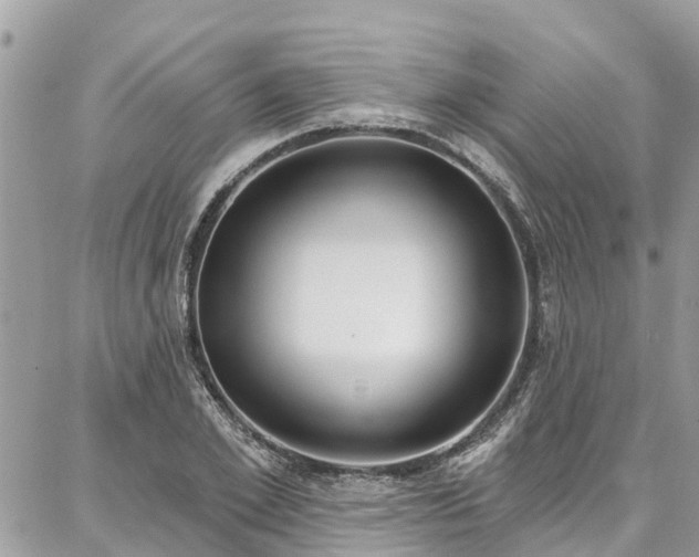 X0000086800981200704131301