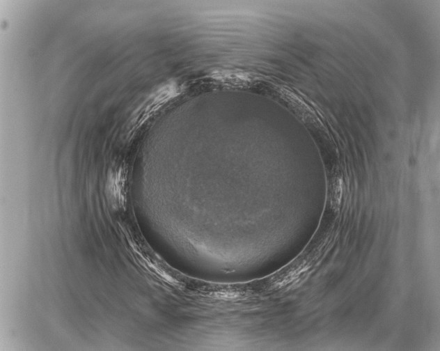 X0000086801010200704131300