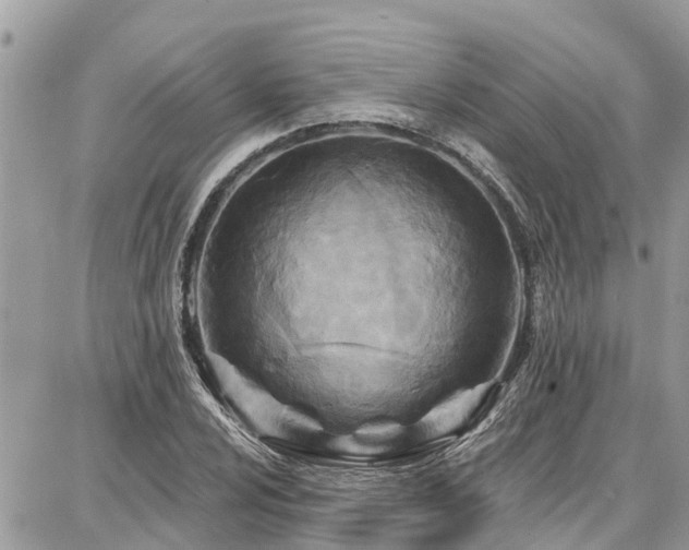 X0000086801024200704131300
