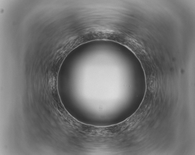 X0000086801061200704131300