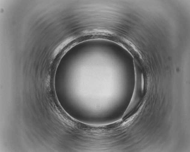 X0000086801066200704131300