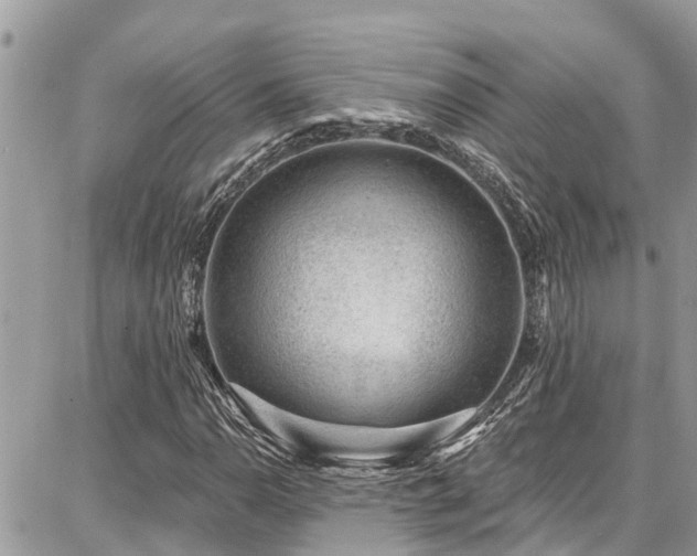 X0000086801110200704131258