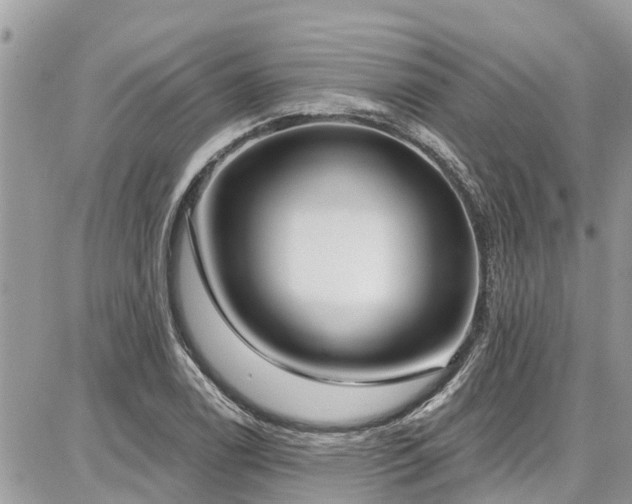 X0000086801122200704131259