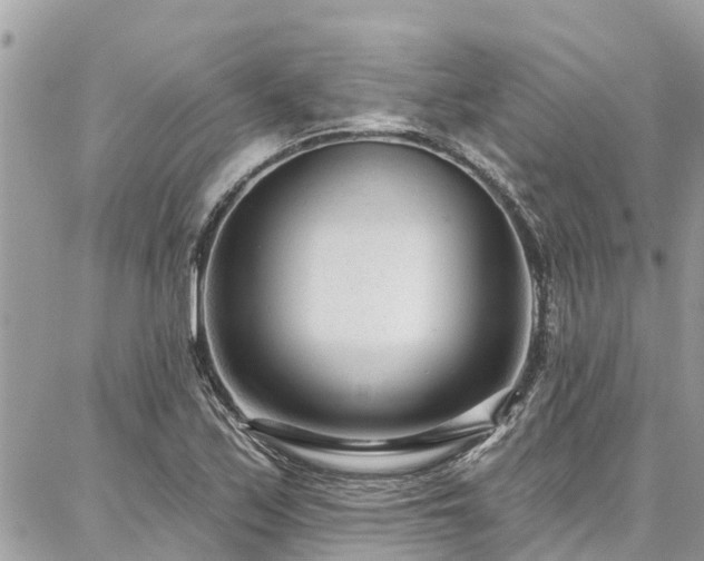 X0000086801171200704131258