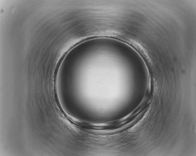X0000086801184200704131258