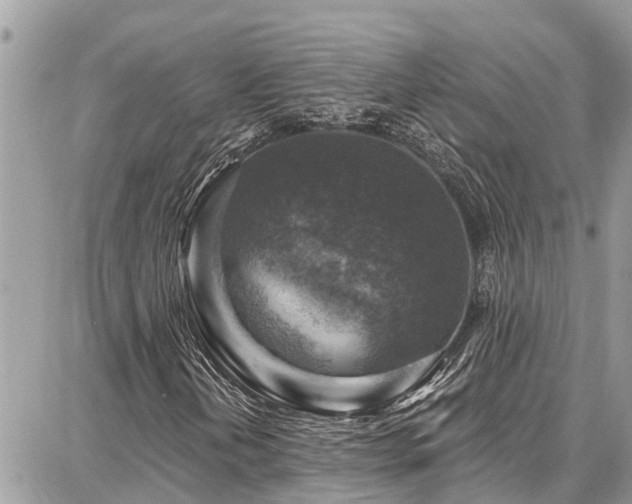 X0000086801202200704131257