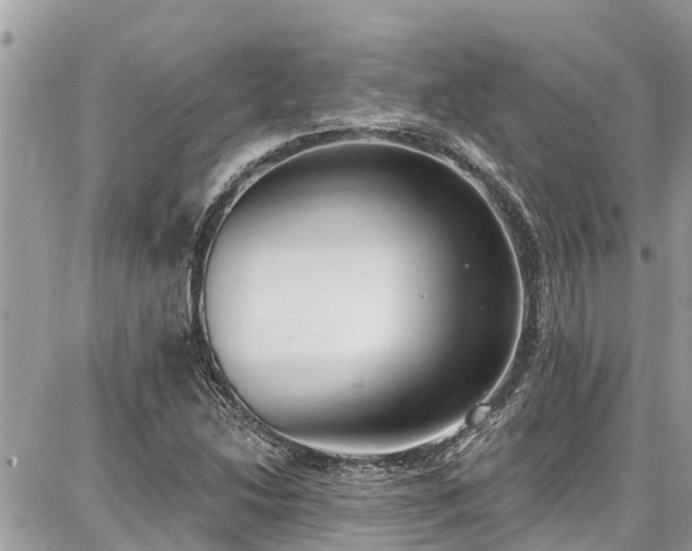 X0000086801214200704131257