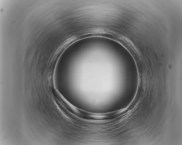 X0000086801225200704131257