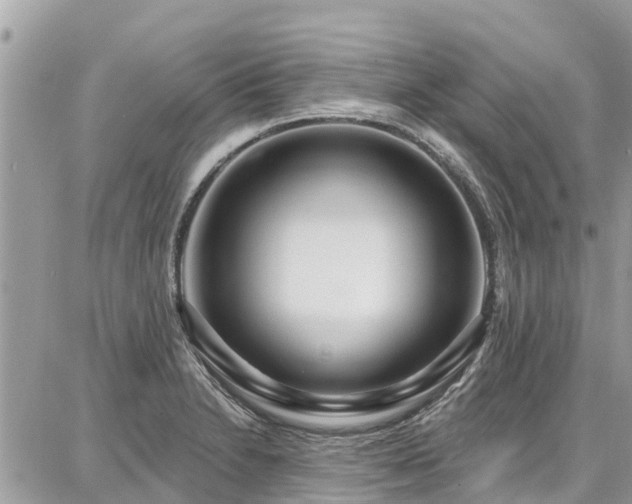 X0000086801230200704131257