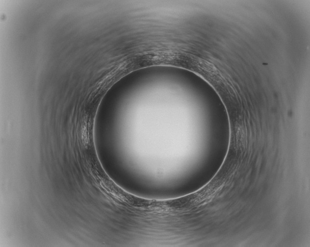 X0000086801250200704131257