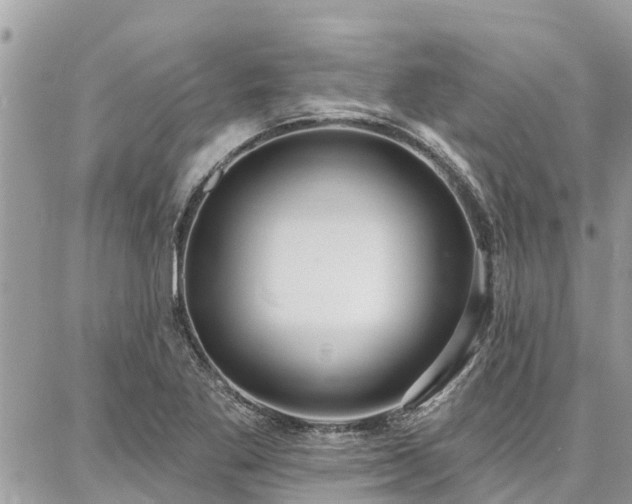 X0000086801269200704131256