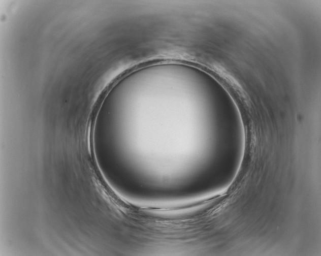 X0000086801272200704131256