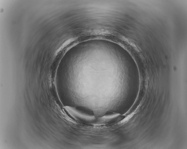 X0000086801306200704131255