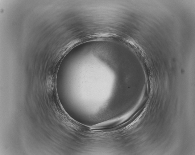 X0000086801353200704131255