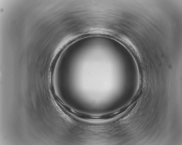 X0000086801376200704131255