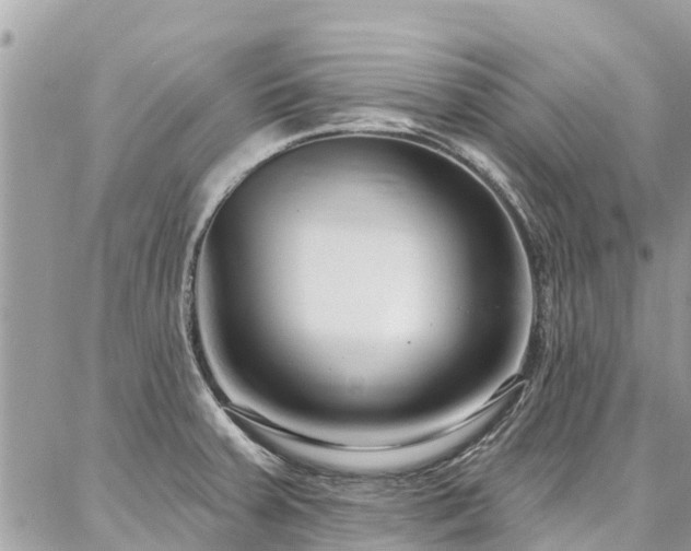 X0000086801379200704131254