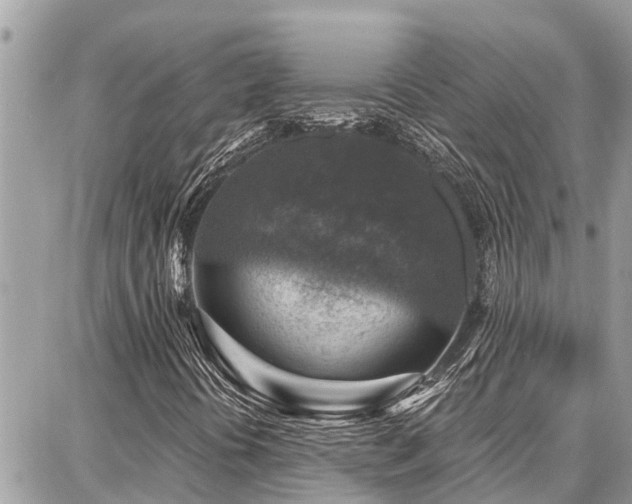 X0000086801394200704131253