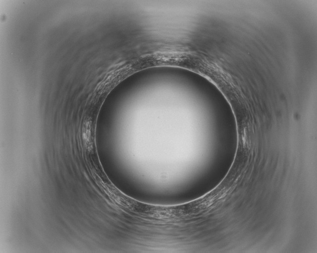 X0000086801396200704131254