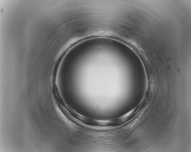 X0000086801422200704131254