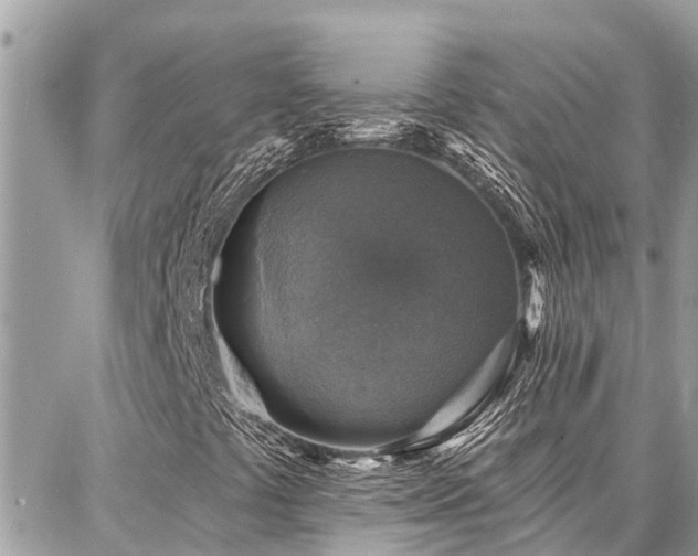 X0000086801441200704131253