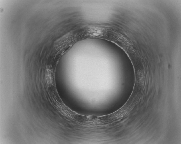 X0000086801442200704131253
