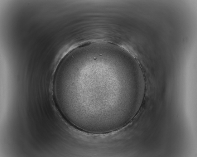X0000086800002200704201912