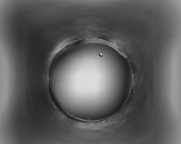 X0000086800005200704201912
