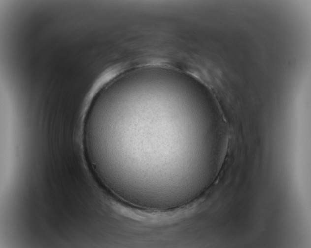 X0000086800006200704201912