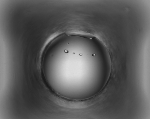 X0000086800008200704201912