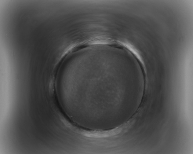 X0000086800009200704201912