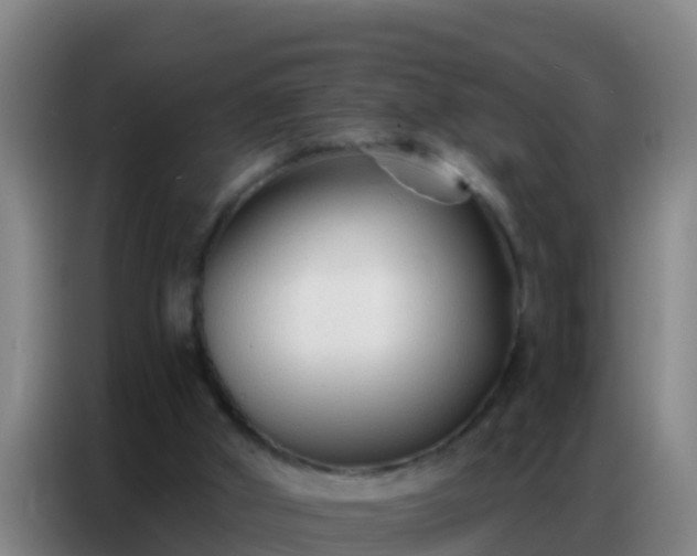X0000086800010200704201912