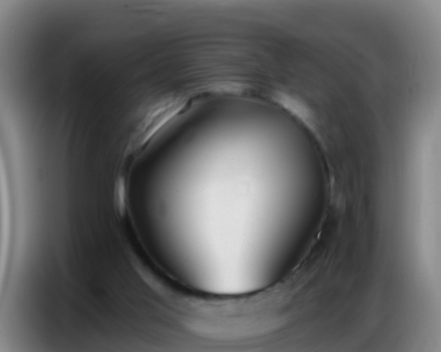 X0000086800013200704201912