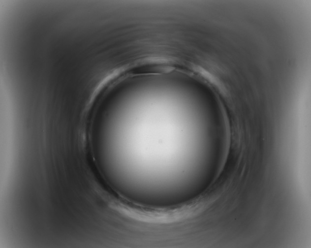 X0000086800015200704201912