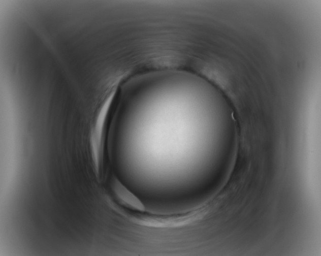 X0000086800017200704201912