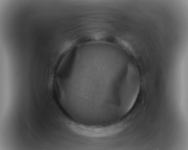 X0000086800018200704201912