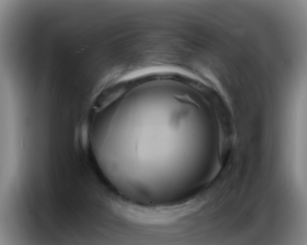 X0000086800019200704201912