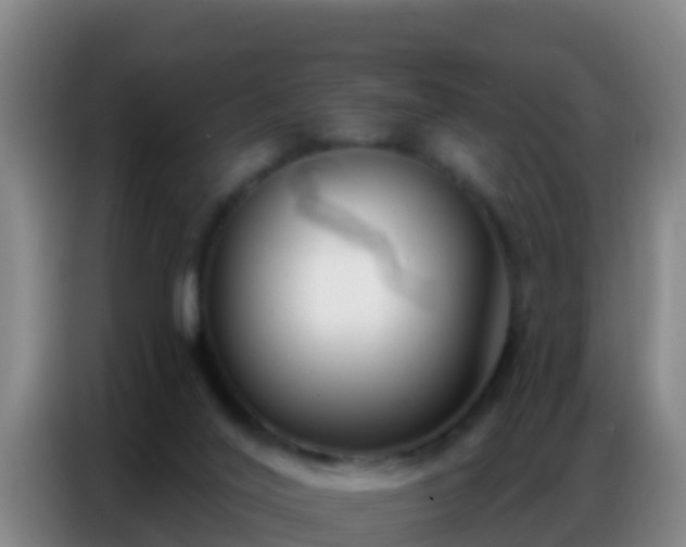 X0000086800020200704201912