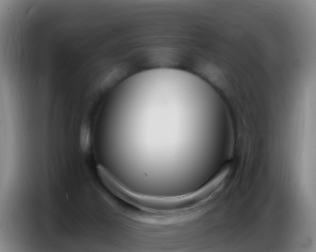 X0000086800021200704201912